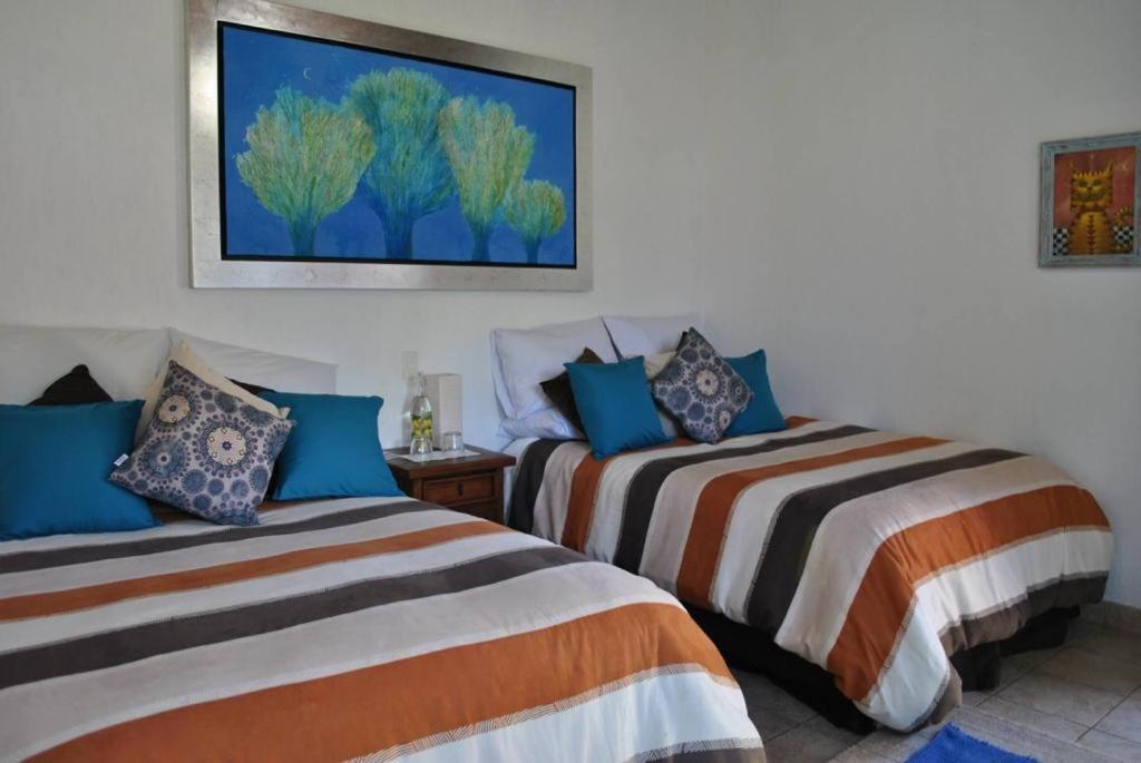 Hotel Boutique Bacaanda 迪坡斯特兰 外观 照片